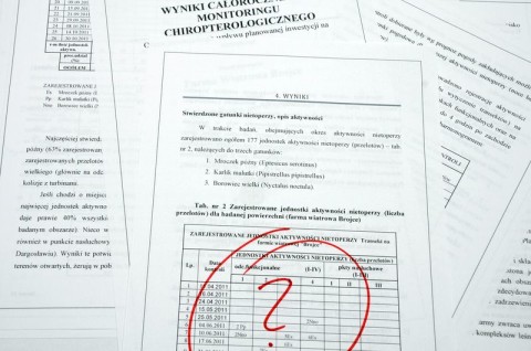 Audyt chiropterologiczny due diligence