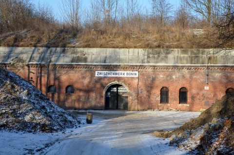 Inwentaryzacja nietoperzy w zimowiskach - fort Va