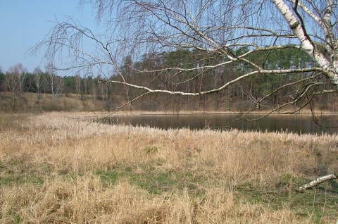 Plan ochrony dla rezerwat przyrody - krajobraz