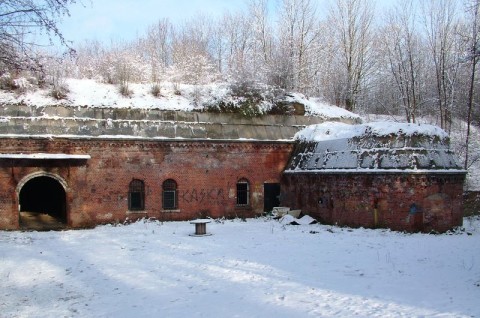 Plan zadań ochronnych dla obszaru Natura 2000 - fort Va