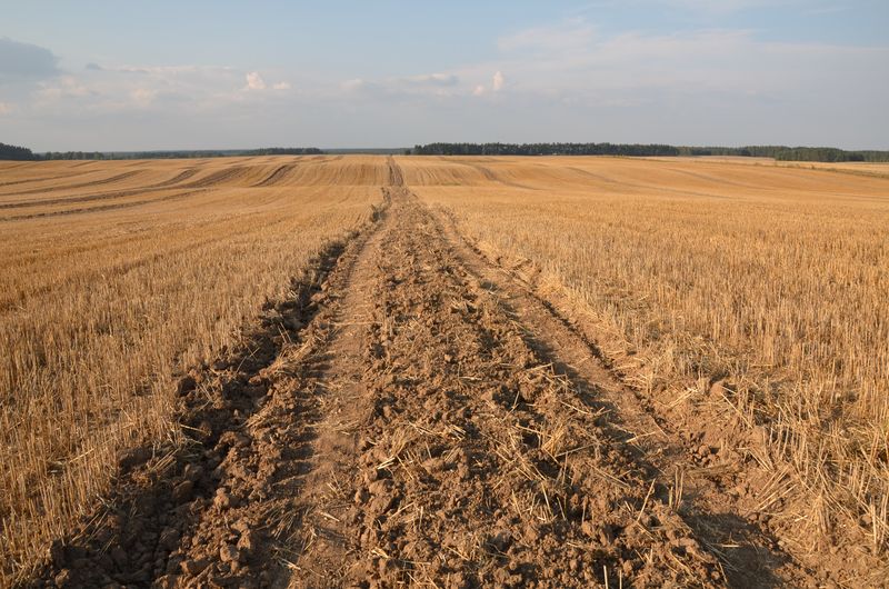 Elektrownia wiatrowa Wałcz