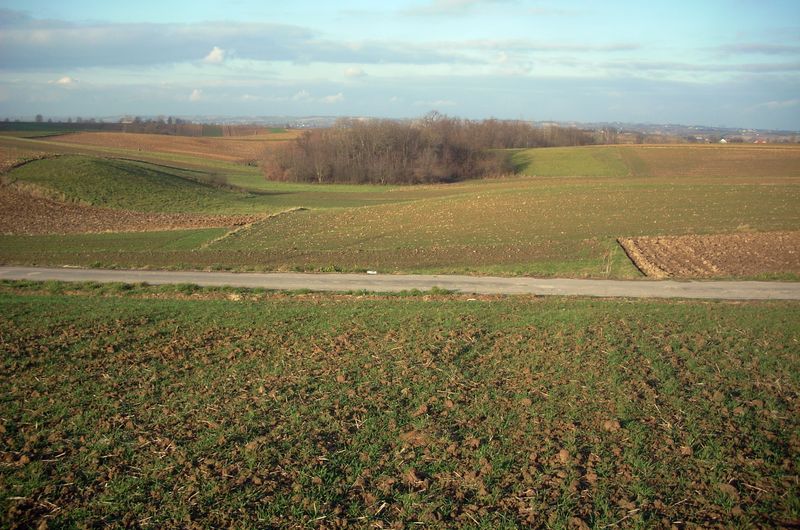Farma wiatrowa Koszyce