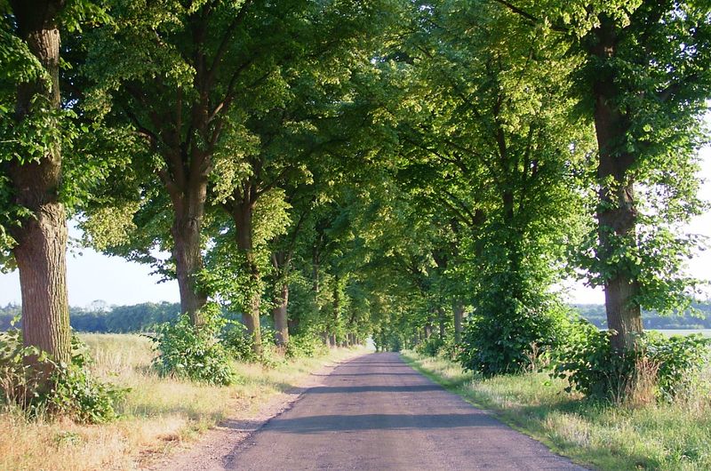Farma wiatrowa Kuślin
