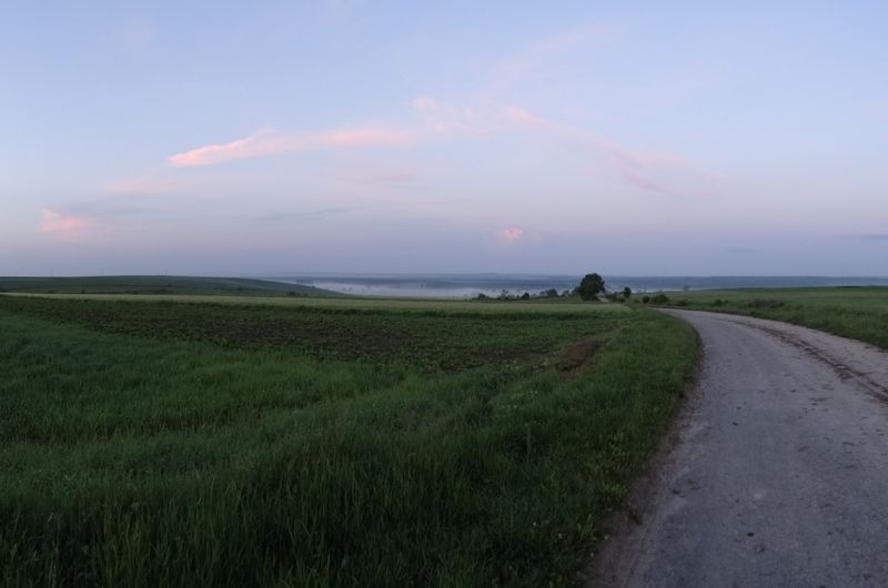 Farma wiatrowa Tomaszów