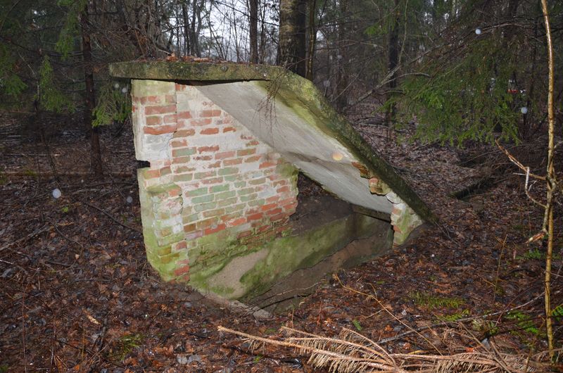 Nadleśnictwo Drygały