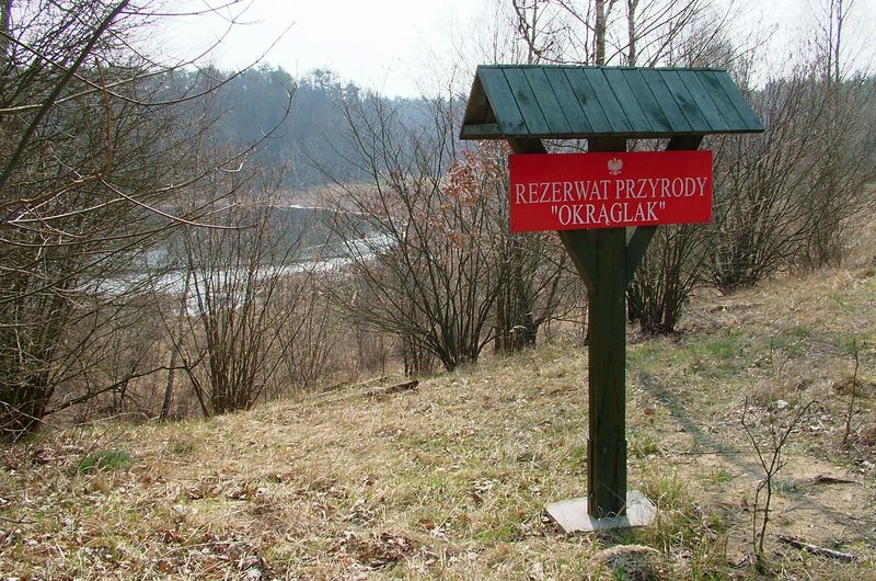 Rezerwat przyrody „Okrąglak”