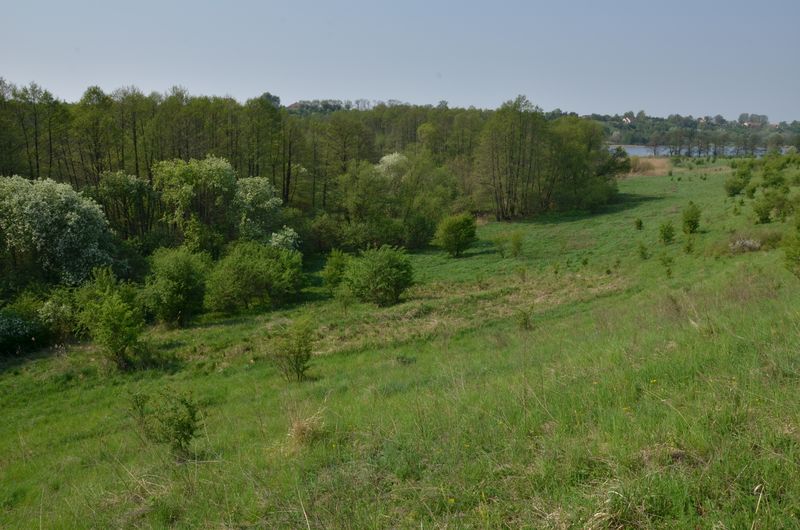 Zagroda rolnicza w Promnie