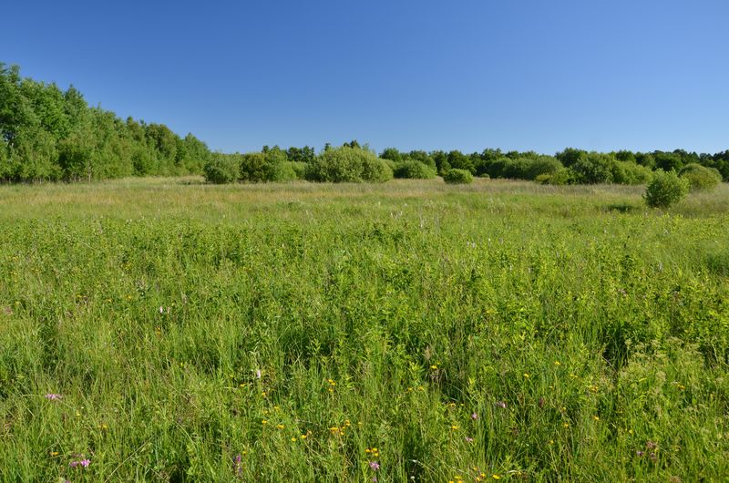 Zespół budynków mieszkalnych jednorodzinnych w Łęczycach