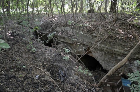 Zespół budynków mieszkalny wielorodzinnych w Poznaniu - ocena oddziaływania na obszar Natura 2000