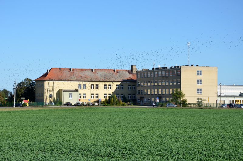 Zespół Szkół w Kleszczewie