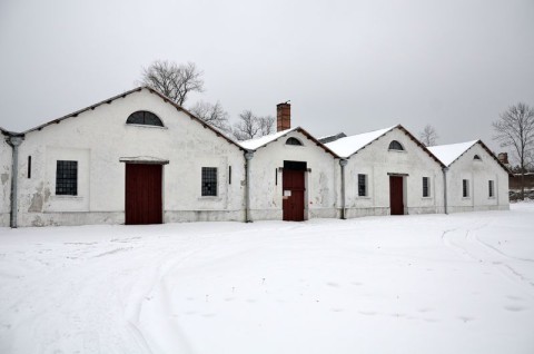 Muzeum Staropolskiego Zagłębia Przemysłowego w Sielpi Wielkiej - ekspertyza chiropterologiczna