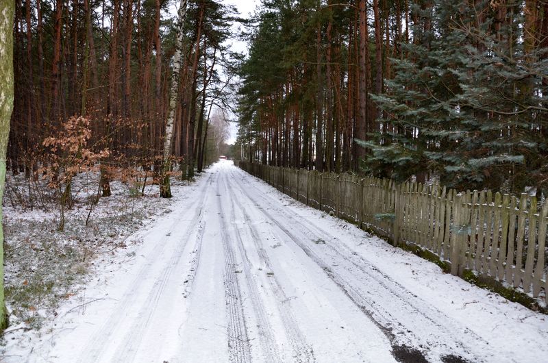 Ulica Bukowa w Ostrzeszowie