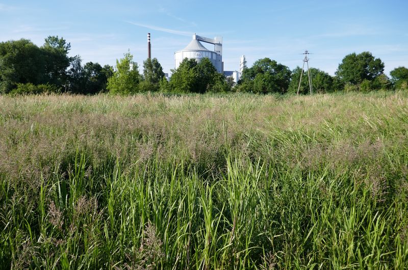 Zintegrowany węzeł przesiadkowy w Środzie Wielkopolskiej (wariant II)