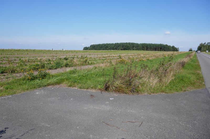 Elektrownia fotowoltaiczna w Sokolem
