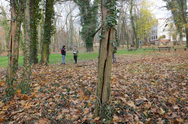 Park Radolińskich w Jarocinie