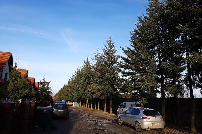 Droga powiatowa nr 2410P Gowarzewo-Zalasewo