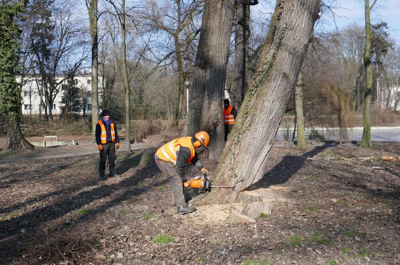 Park Radolińskich w Jarocinie