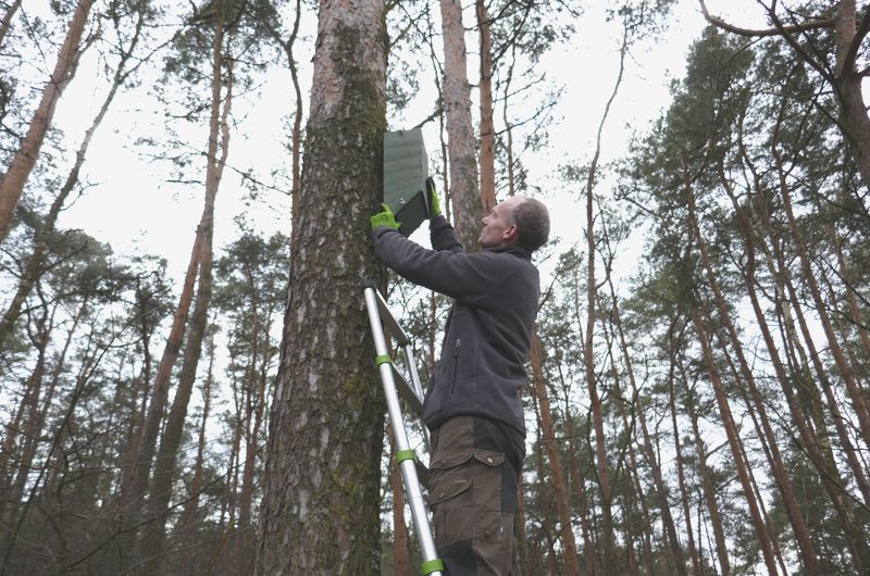 Pomnik ofiar obozu zagłady Kulmhof w Lesie Rzuchowskim koło Chełmna nad Nerem