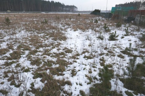 Serowarnia Golęczewo - ekspertyza przyrodnicza