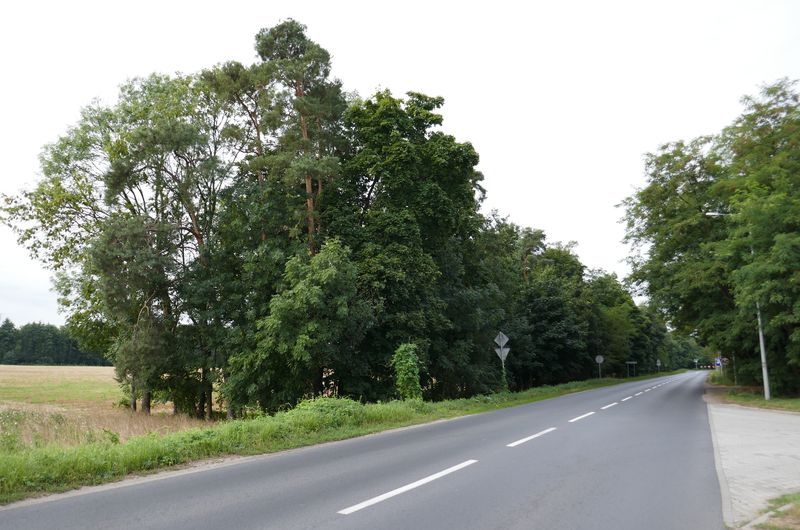 Stacja paliw w Mechlinie