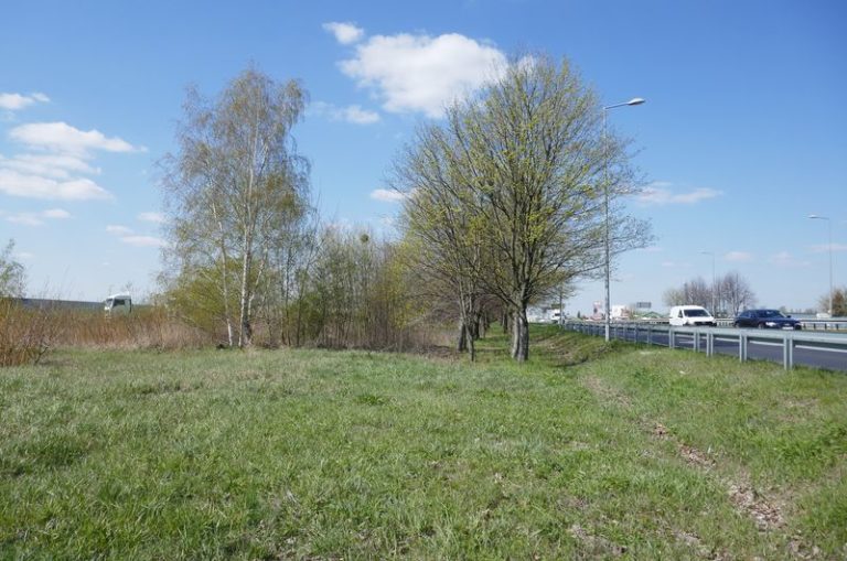 Droga serwisowa w rejonie drogi krajowej nr 92 i węzła Swarzędz Jasin