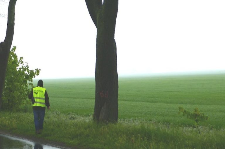 Droga powiatowa nr 2403P Więckowice-Dopiewo