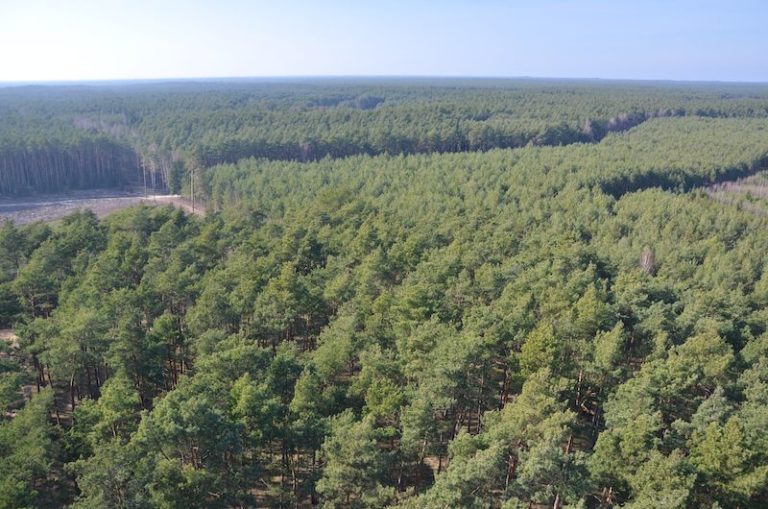 Północno-Wschodnia Obwodnica Aglomeracji Poznańskiej