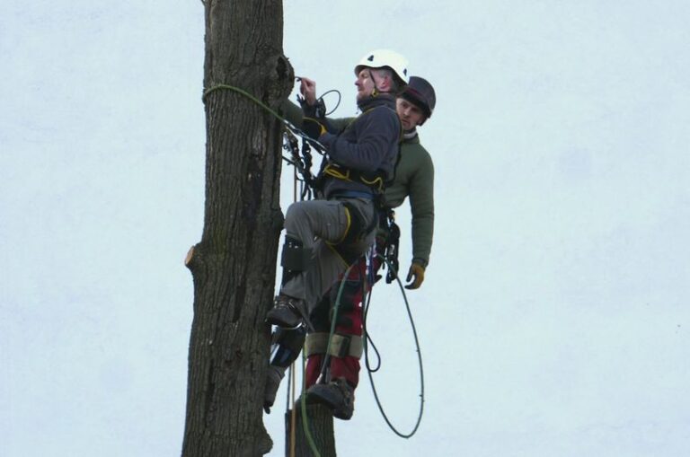 Budynek mieszkalny wielorodzinny z&nbsp;garażem podziemnym przy Placu Grunwaldzkim we&nbsp;Wrocławiu