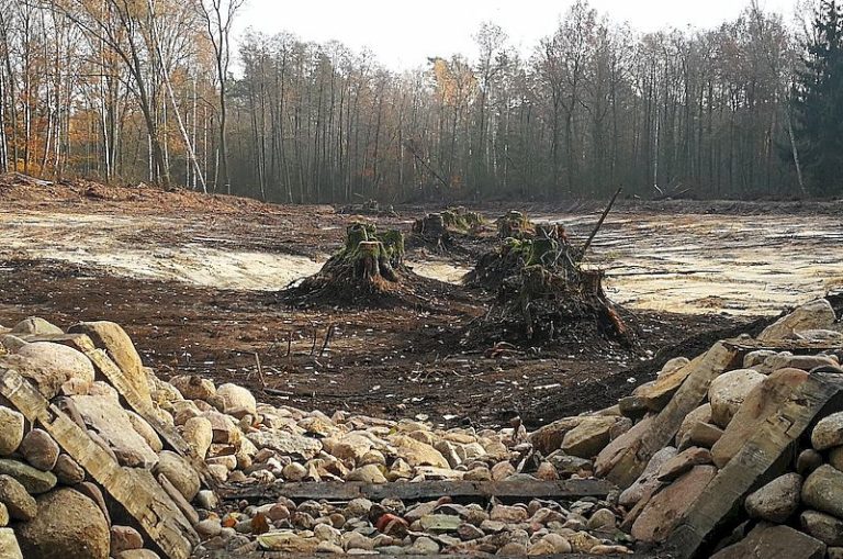 Zastawka piętrząca na rowie w Leśnictwie Gołuchów