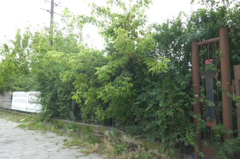 Market budowlany w Swarzędzu