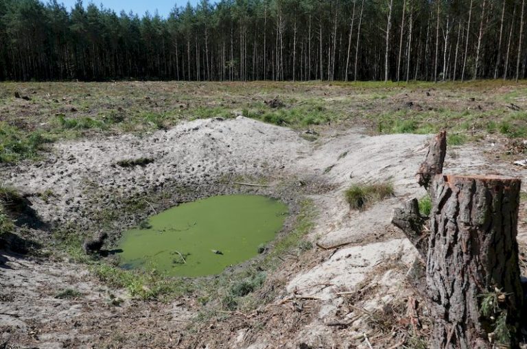 Zbiornik wodny w Leśnictwie Miłaszka