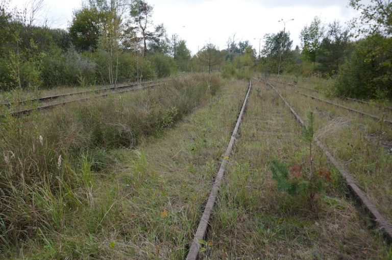 Magazyn główny na terenie zakładu producenta autobusów, trolejbusów i tramwajów w Bolechowie-Osiedle