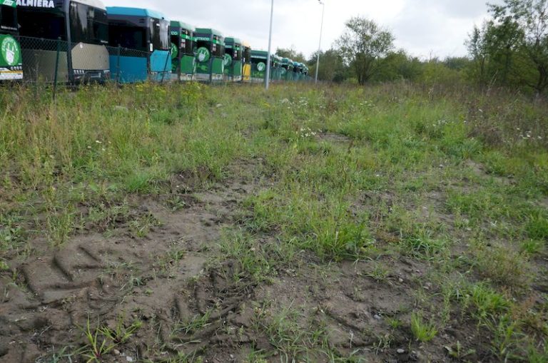 Magazyn główny na terenie zakładu producenta autobusów, trolejbusów i tramwajów w Bolechowie-Osiedle