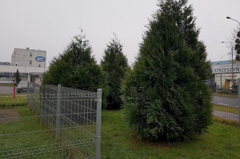 Rozbudowa i przebudowa budynku wraz z niezbędną infrastrukturą producenta przetworów rybnych, sałatek i past kanapkowych przy ulicy Strzeszyńskiej w Poznaniu