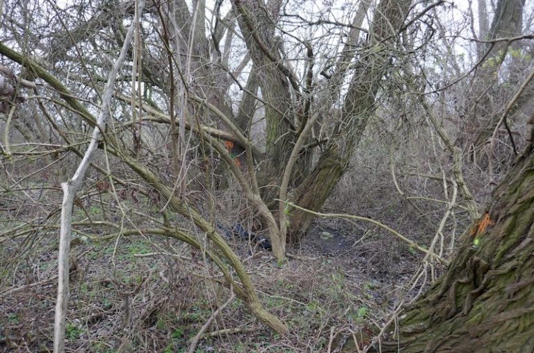 Zespół budynków mieszkalnych  wielorodzinnych wraz z infrastrukturą i podziemnymi halami garażowymi położonych przy ulicy Józefa Wrońskiego w Poznaniu