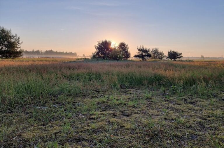 Hala magazynowo-produkcyjno-usługowa z&nbsp;zapleczem socjalno-biurowym i&nbsp;infrastrukturą towarzyszącą w&nbsp;Łazach