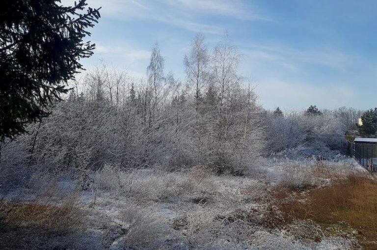 Nieruchomość przy ulicy Słonecznej w Baranowie