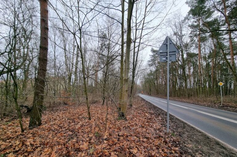 Droga lokalna z włączeniem w ulicę Koszalińską w Poznaniu