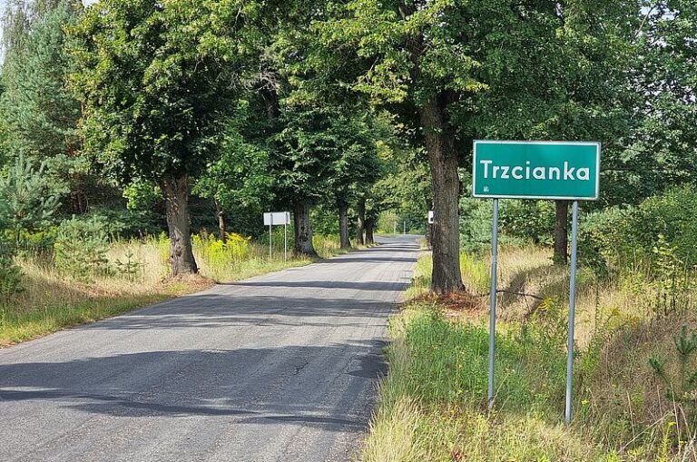 Droga powiatowa nr 1331P Trzcianka-Biała