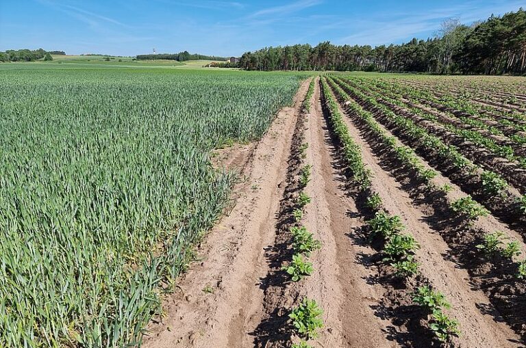 Kopalnia kruszyw naturalnych w Żółkowie