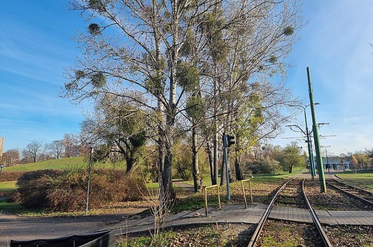 Tramwajowa Trasa Kórnicka w Poznaniu