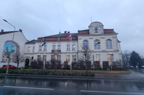 Urząd Miasta i Gminy Rawicz - ekspertyza ornitologiczna