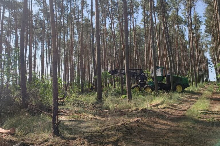 Las prywatny pod Długą Gośliną