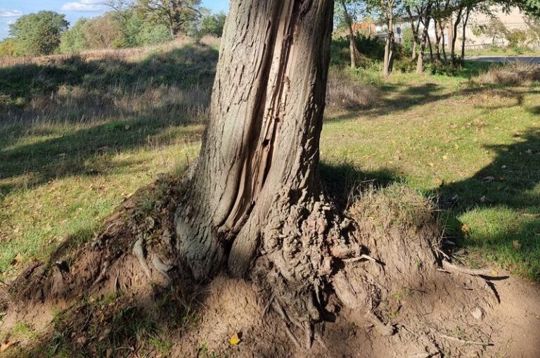 Ulica Golfowa w Trzaskowie