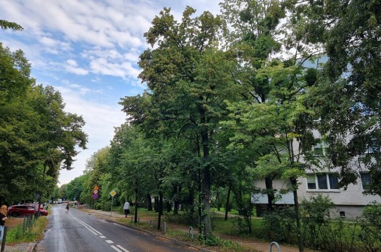 Ulica Świętego Rocha w Poznaniu