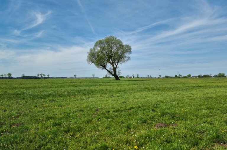 Zakład produkcji nawozów i paliw organicznych, w tym biomentanu, w Runowie