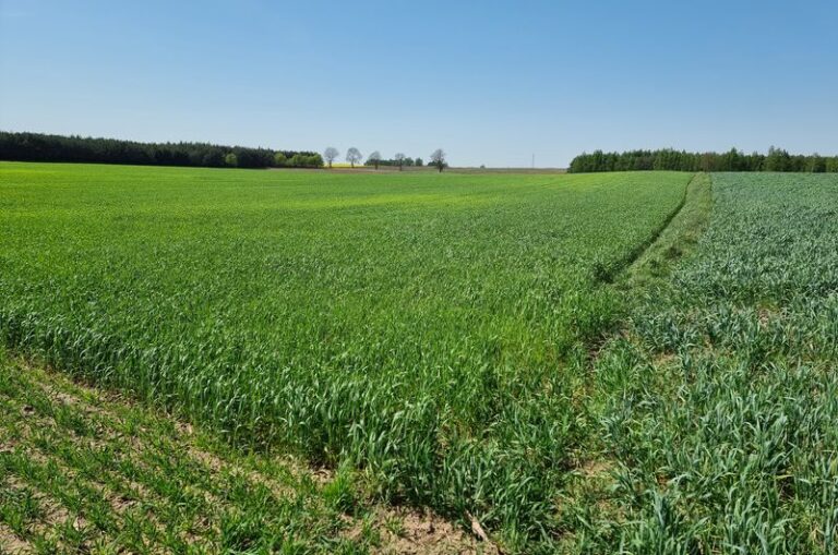 Zakład produkcji nawozów i paliw organicznych, w tym biomentanu, w Węgorzynie