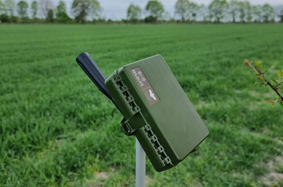 Prace terenowe – zdjęcie