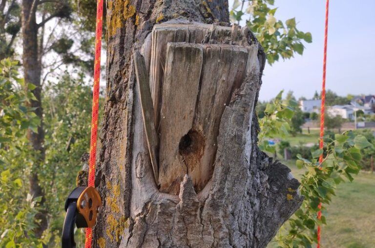 Klub Kogucik w&nbsp;Potaszach Gminnego Ośrodka Kultury „Sokół” w&nbsp;Czerwonaku