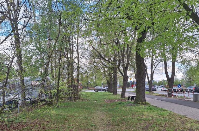 Nieruchomość przy ulicy Leśnych Skrzatów w&nbsp;Poznaniu